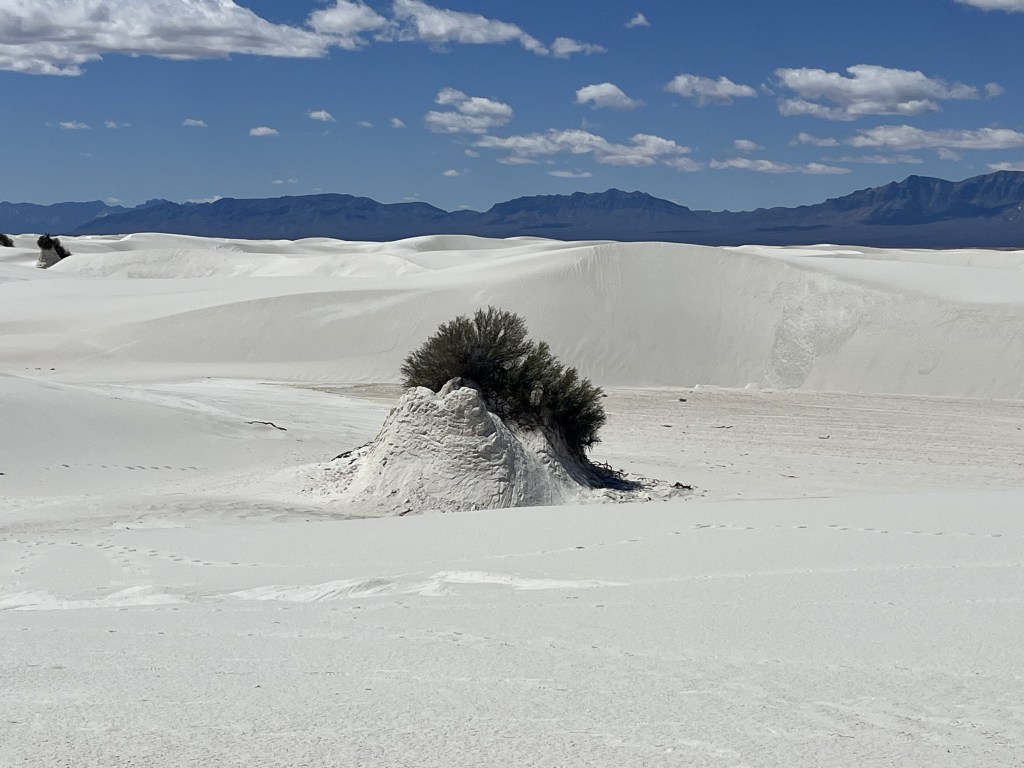 New Mexico National&nbsp;Parks