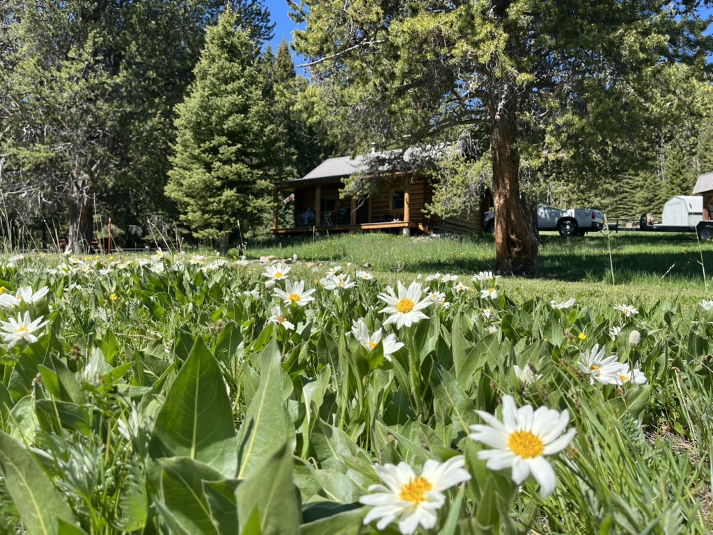 Notes from the Trail #8: Montana Roots