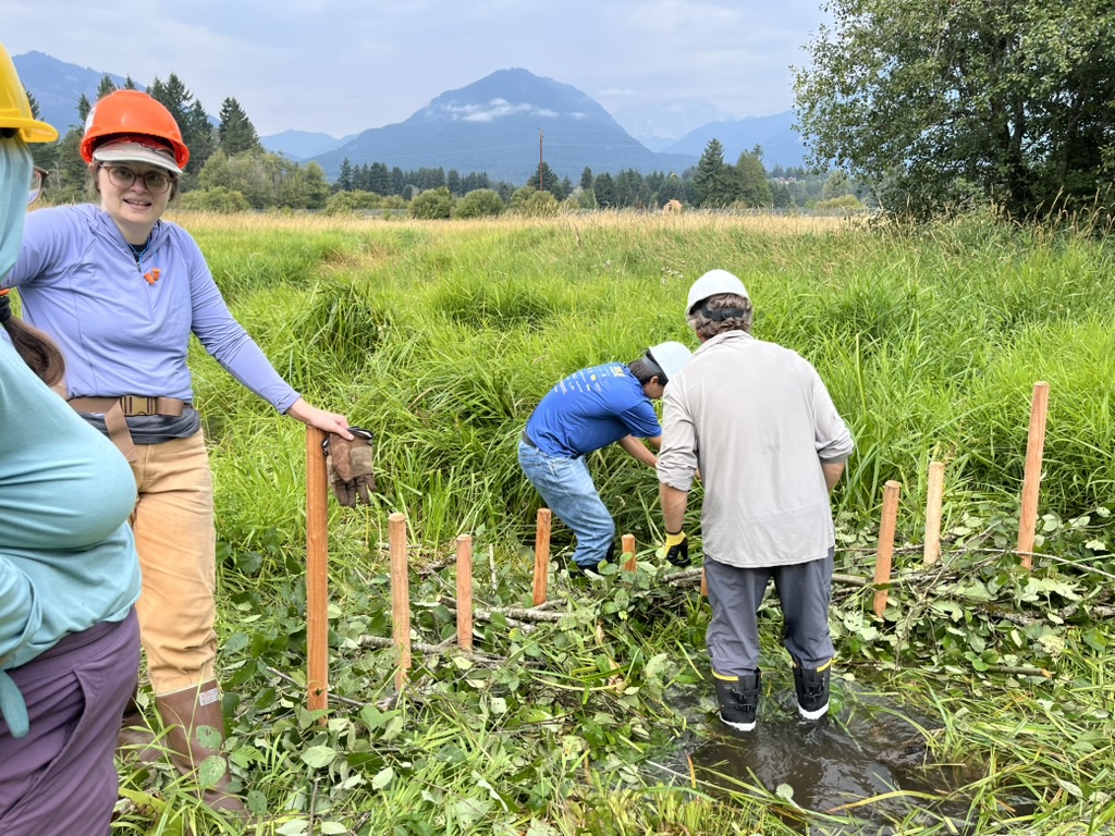 Building Beaver Dam Analogs: A Volunteer Weekend with Cascade Forest Conservancy